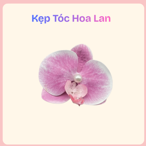 kẹp tóc hoa lan