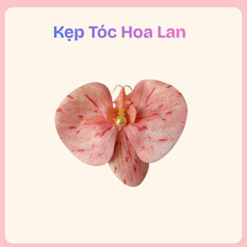 kẹp tóc hoa lan