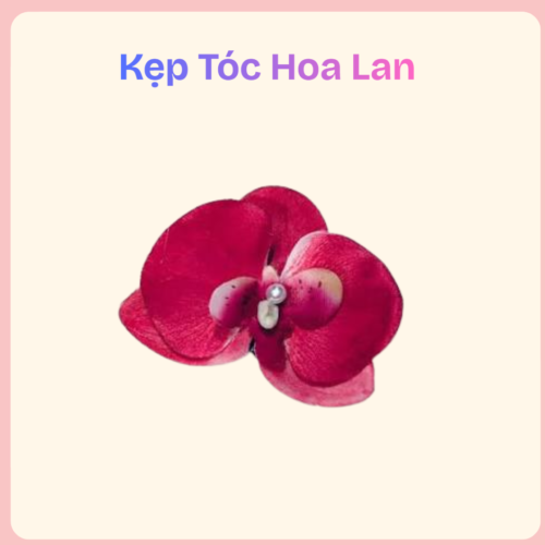 kẹp tóc hoa lan