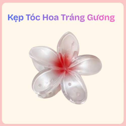 kẹp tóc hoa tráng gương