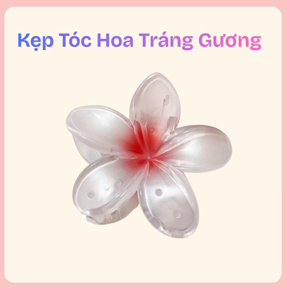 kẹp tóc hoa tráng gương