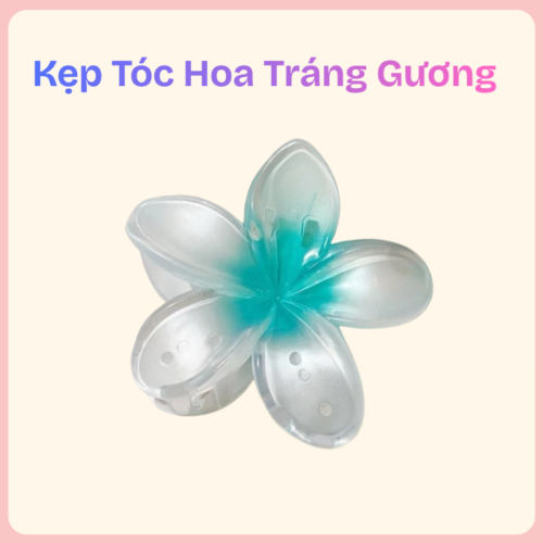 kẹp tóc hoa tráng gương