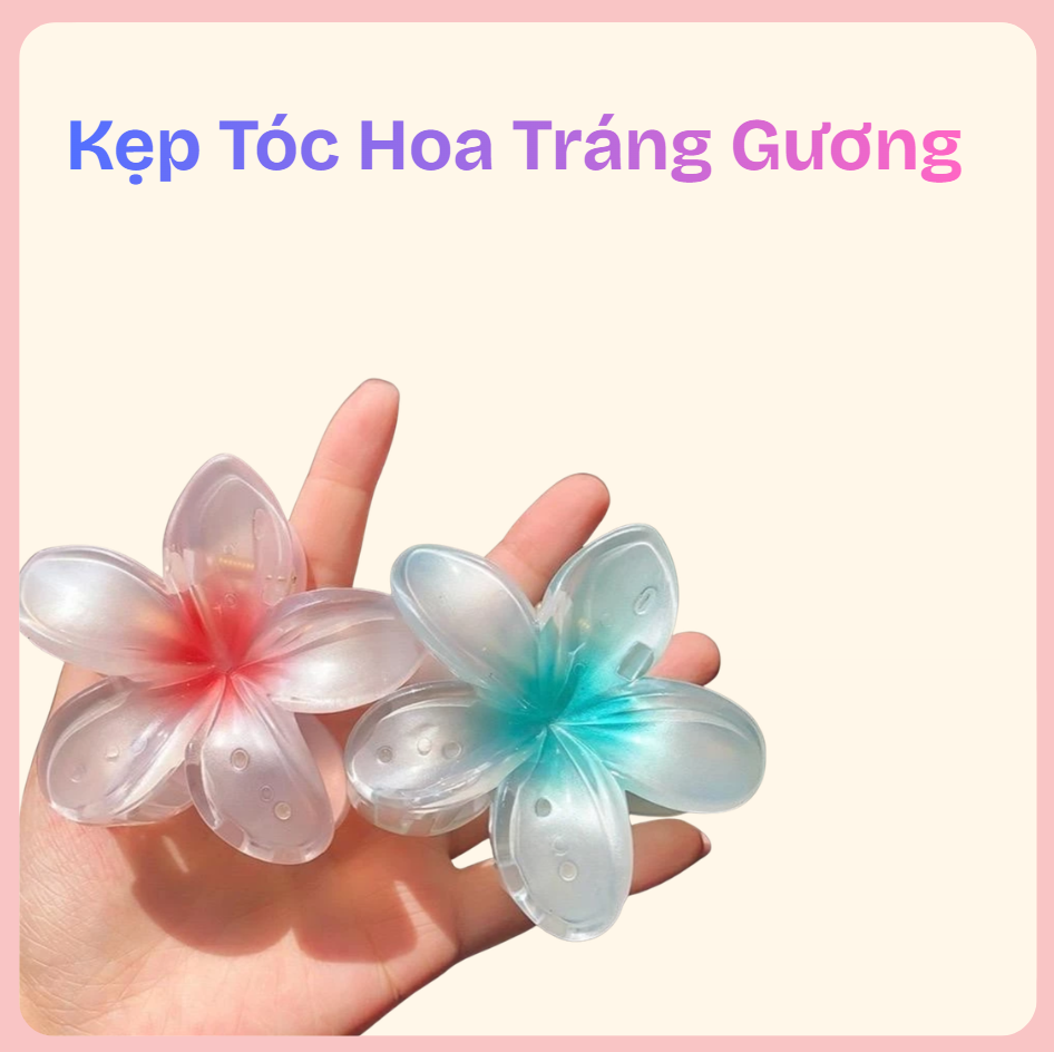 kẹp tóc hoa tráng gương