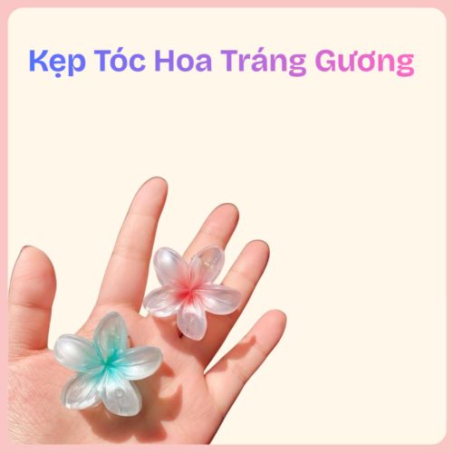 kẹp tóc hoa tráng gương