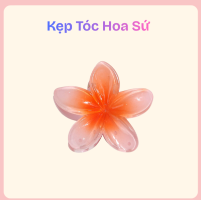 kep-toc-hoa-su-dep