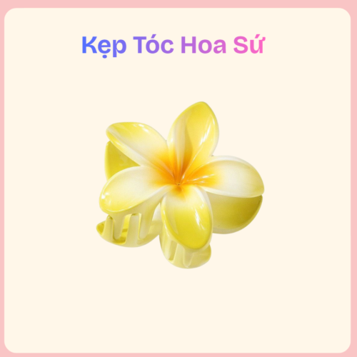 kẹp tóc hoa sứ