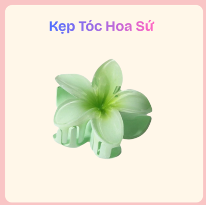 kep-toc-hoa-su